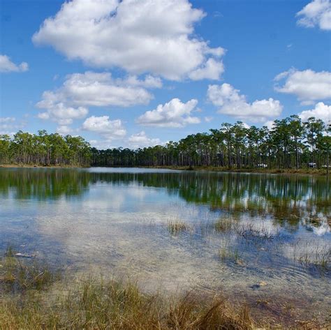 Everglades National Park Florida City 2023 What To Know Before You Go