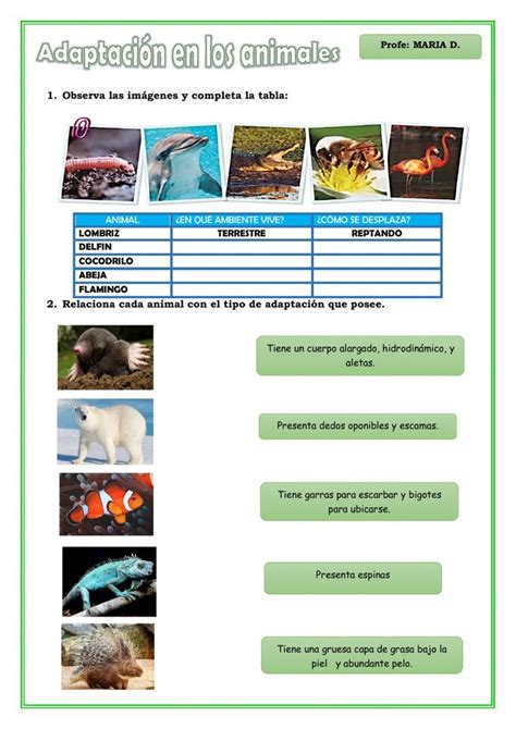 Adaptación en animales worksheet Peppa Lourdes Shopping screenshot