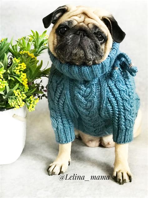 Sweater For A Pug Pug Puppies Training Pugs Pet Gear