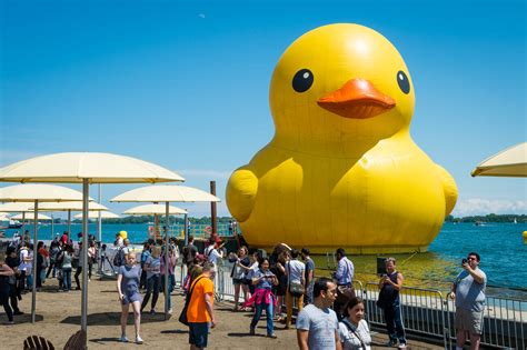 What The Worlds Biggest Rubber Duck Looks Like Up Close