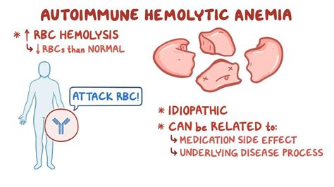 Autoimmune Hemolytic Anemia Osmosis