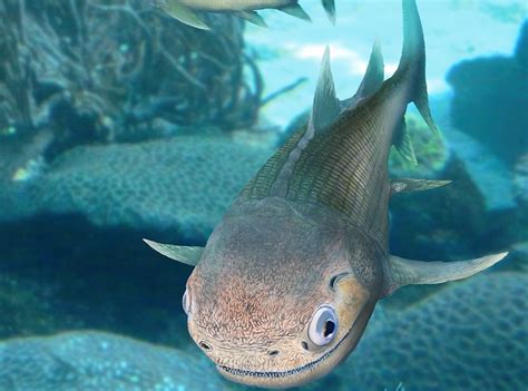 400 Million Year Old Fish Discovered Is Ancestor Of Dinosaurs Humans