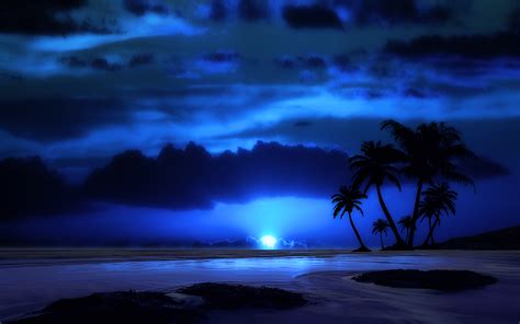 Night On Tropical Beach Hd Wallpaper Background Image 1920x1200