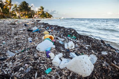 Plastic Tsunamis Thirteen Million Tons Of Waste Are Dumped Into Oceans