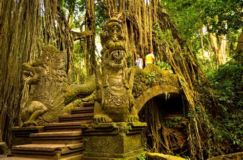 Monkey Forest Bali Travel Magnet