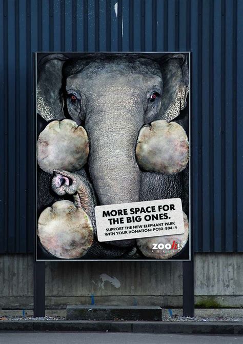 33 Powerful Animal Ad Campaigns That Tell The Uncomfortable Truth