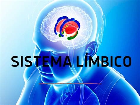 Sistema Límbico Como Controlar