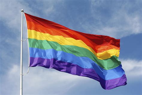 Flags that help different members of the lgbtq community feel seen and heard. UW to Celebrate Pride Week, Fly Flag at all Four Med ...