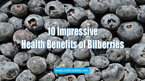 Bilberry Uses 10 Impressive Health Benefits Of Bilberries Just Credible