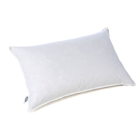 Pacific Coast Feather Euro Feather Pillow And Reviews Wayfair