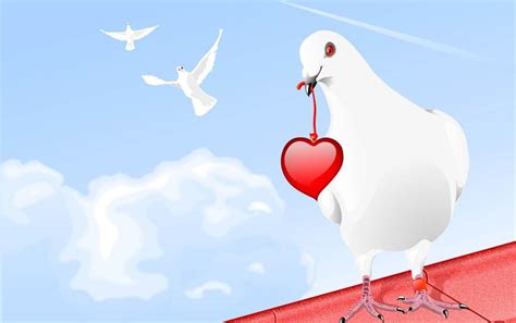 Dove With Heart Wallpapers Wallpaper Cave