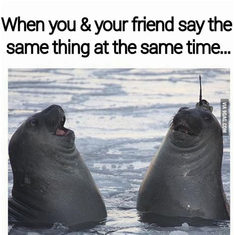 When You And Your Friend Say The Same Thing At The Same Time 9gag