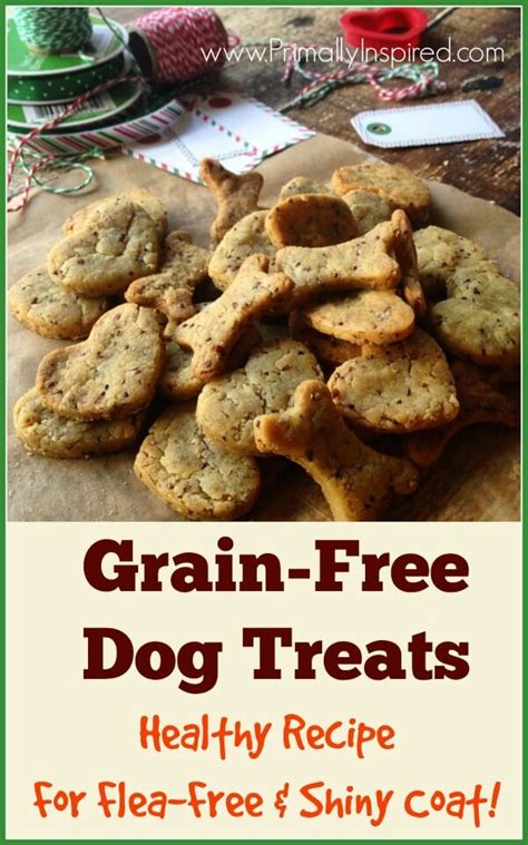 Homemade Grain Free Dog Treats Primally Inspired
