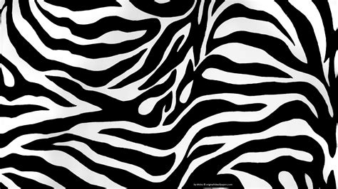 Zebra Backgrounds Wallpaper 1920x1080 6640