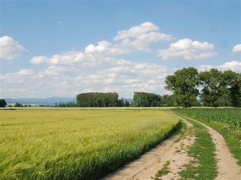 Ponuda za zakup hektara državnog zemljišta u opštini Zrenjanin AgroFin