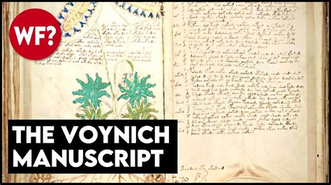 Voynich Manuscript Decoded The Mysterious Book Finally Solved Youtube