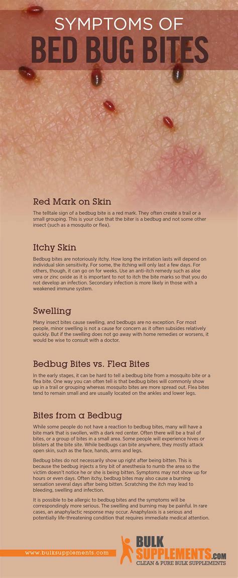 Bedbug Bite Characteristics Causes And Treatment