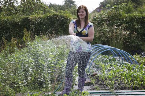 Woman Watering Plants Stock Image C0470071 Science Photo Library