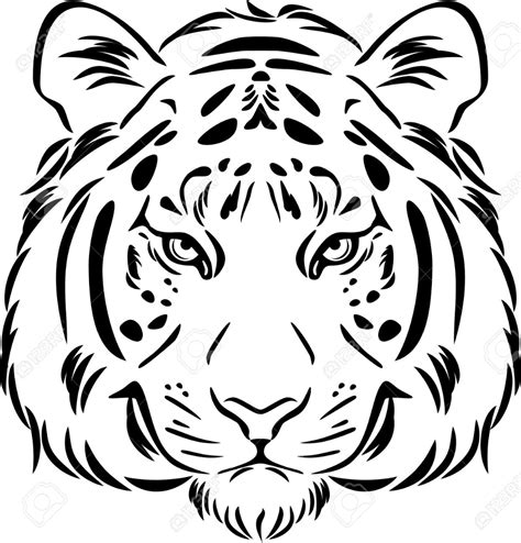 Tiger Head Black And White Outline Tiger Sketch Tiger Drawing