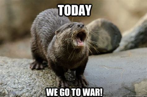 26 Otter Memes That Are Way Too Funny For Words