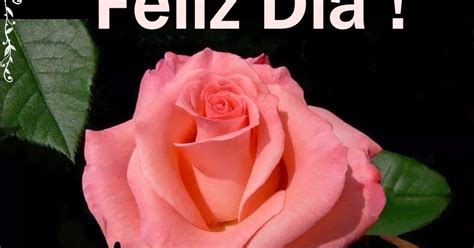 Buenos Deseos Para Ti Y Para MÍ Feliz Día Rosa Rosa
