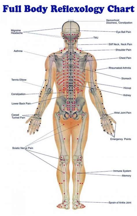 Reflexology Massage Techniques Lots Of Charts The Whoot Reflexology Massage Body