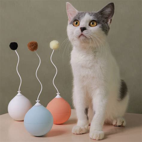 Electric Roly Poly Toy For Cats Best Gadget Store