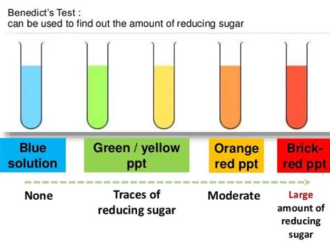 تست بندیکت ، اصول ترکیبات مراحل Benedicts Test کیمیا زیست گستر