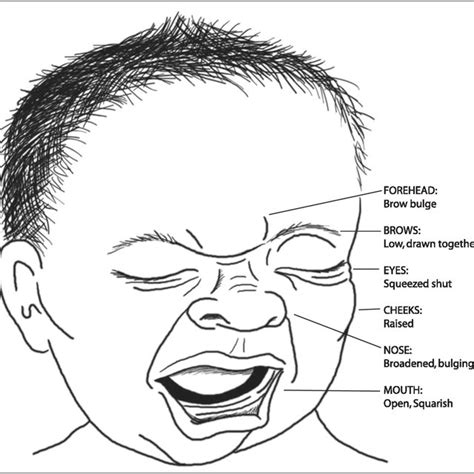 Dan Behavioral Acute Pain Rating Scale For Neonates Download
