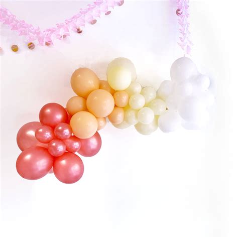 Blush Balloon Garland Party Decoration Kit By Peach Blossom