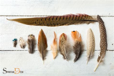 native american feathers meanings