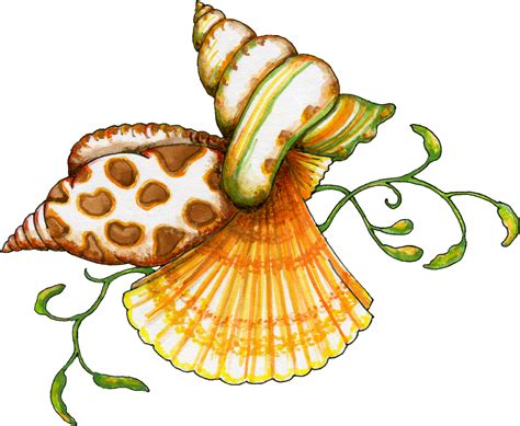 Seashell Free Clip Art Beach Ocean Shells Danasria Top 2 Image 31347