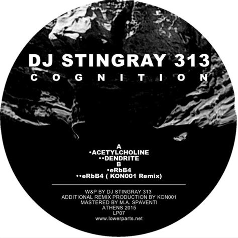 Dj Stingray 313 Cognition Horizons Music
