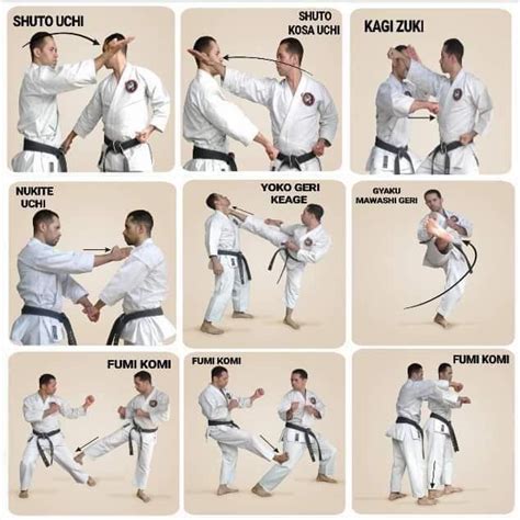 Karate Techniques And Martial Arts Forms