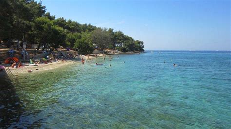 Strand Auf Der Insel Naturist Park Koversada Apartments Vrsar HolidayCheck Istrien