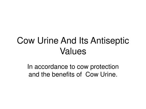 Cow Urine And Its Antiseptic Values Ppt Download