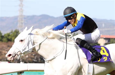 【jra賞】ソダシが最優秀3歳牝馬 白毛初のクラシック制覇 極ウマ・プレミアム