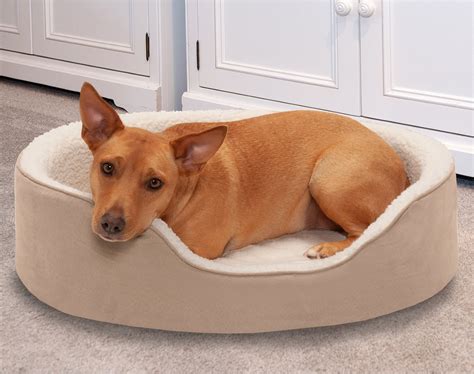 Furhaven Faux Sheepskin And Suede Orthopedic Bolster Dog Bed Wremovable