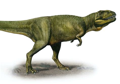 Pictures And Profiles Of 80 Carnivorous Dinosaurs