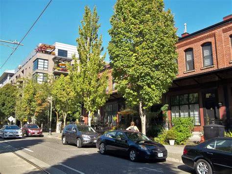 Urban Landscape, Native Landscape: The Pearl District in Portland