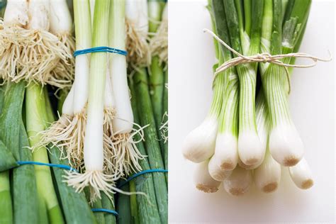 Scallions Vs Green Onions This Is The Difference Green Onion Vs