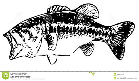 Download Largemouth Bass Clip Art & Look At Clip Art Images ...