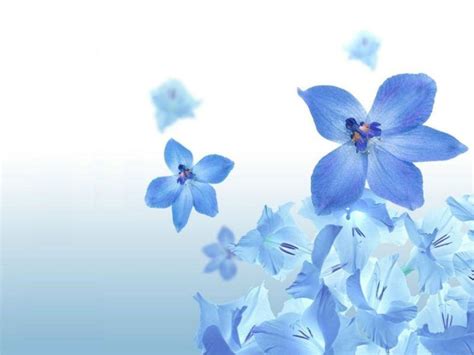 Blue Flowers Wallpapers Wallpaper Cave