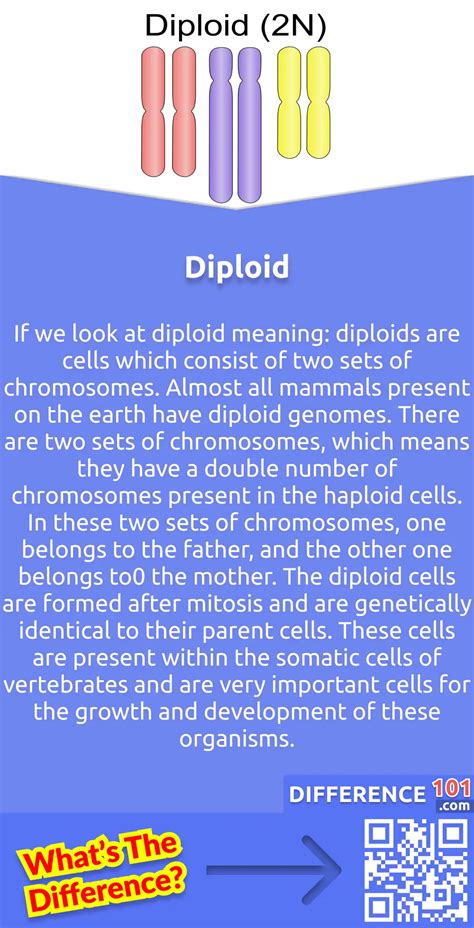 Diploid Vs Haploid 6 Key Differences Pros And Cons Examples Difference 101