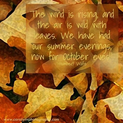 Beautiful Autumn Quote With Images Autumn Quotes Season Quotes