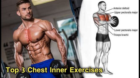 Chest Workout With Dumbbells Chest Workout For Men Chest Workout At