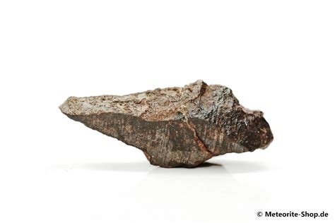 Dhofar 020 Meteorit 720 G Kaufen Decker Meteorite Shop