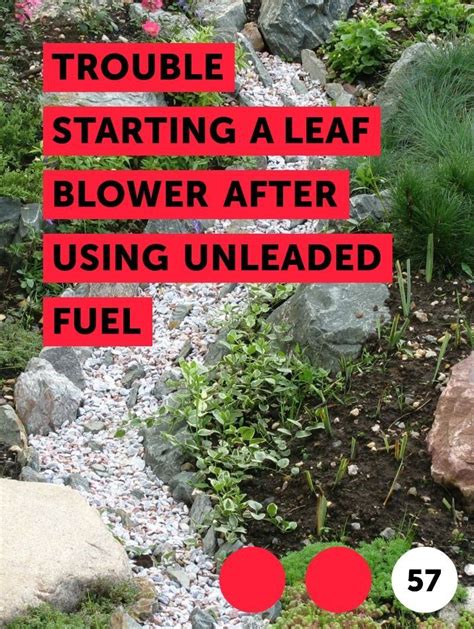 Check spelling or type a new query. Learn Trouble Starting a Leaf Blower After Using Unleaded Fuel | How to guides, tips and tricks ...