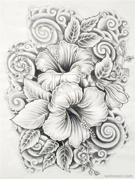 Drawings Of Flowers Hibiscus 14 Full Image