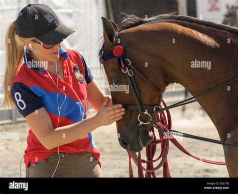 Preparing Horses To The Show At Royal Adelaide Show South Australia